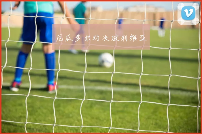 厄瓜多尔对决玻利维亚