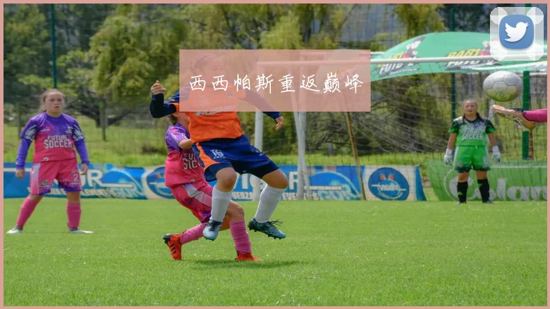 西西帕斯重返巅峰