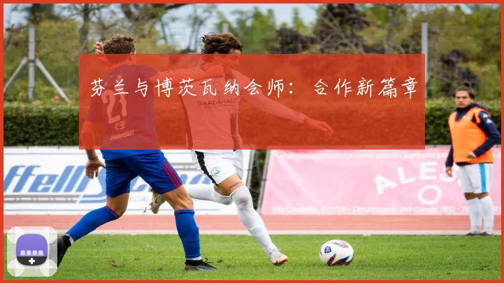 芬兰与博茨瓦纳会师：合作新篇章