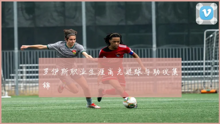 罗伊斯职业生涯高光进球与助攻集锦