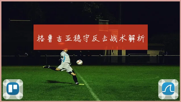 格鲁吉亚稳守反击战术解析