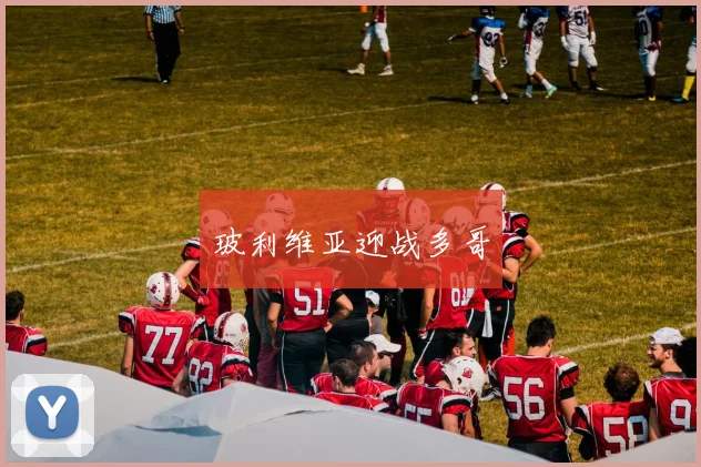 玻利维亚迎战多哥