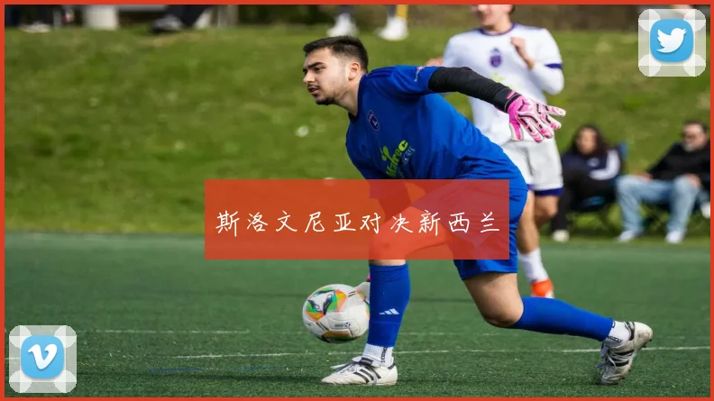 斯洛文尼亚对决新西兰