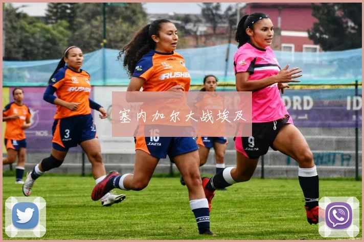 塞内加尔大战埃及