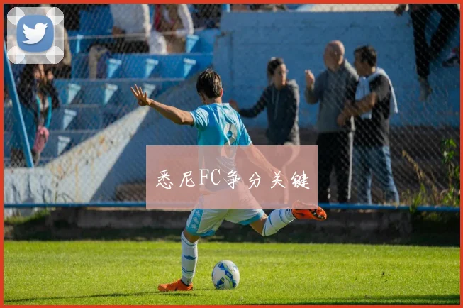 悉尼FC争分关键
