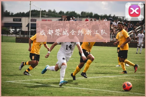 成都蓉城会师浙江队