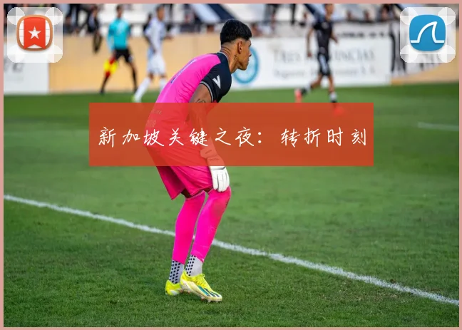 新加坡关键之夜：转折时刻