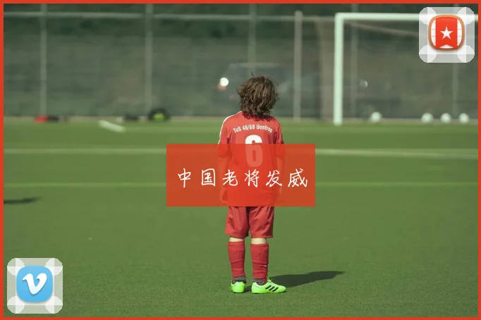 中国老将发威