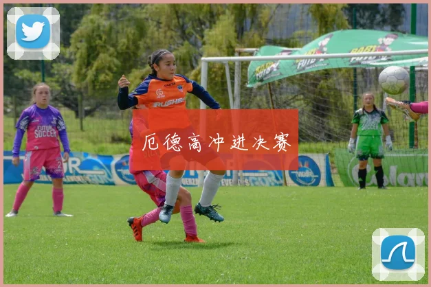 厄德高冲进决赛