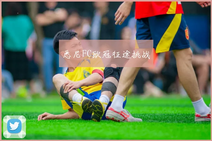 悉尼FC欧冠征途挑战