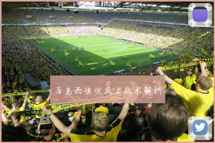马克西快攻反击战术解析