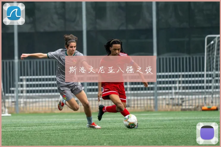 斯洛文尼亚八强之夜