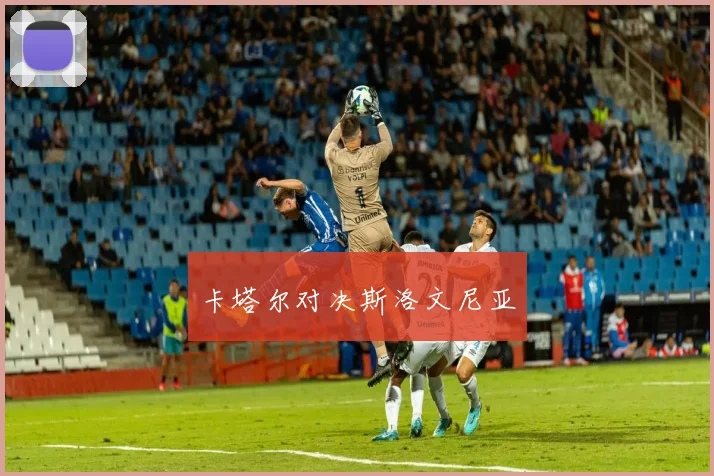 卡塔尔对决斯洛文尼亚
