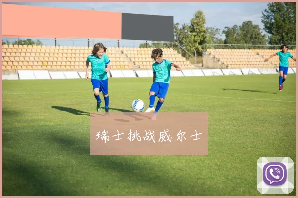 瑞士挑战威尔士