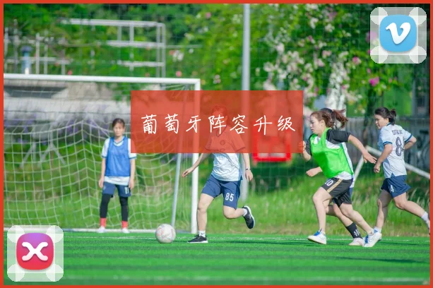 葡萄牙阵容升级