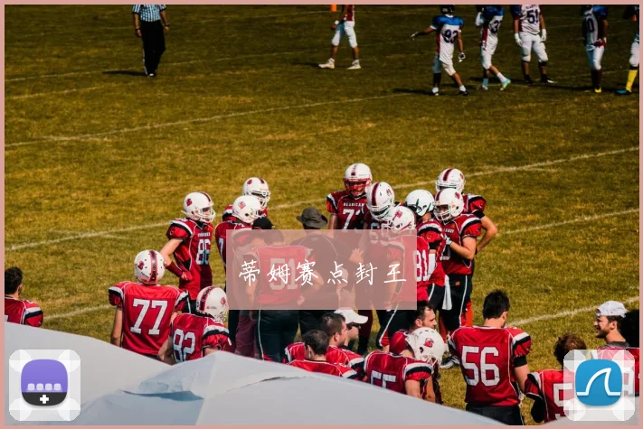 蒂姆赛点封王