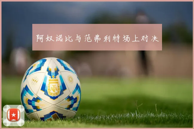 阿奴诺比与范弗利特场上对决