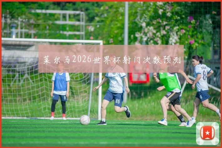 莱尔马2026世界杯射门次数预测