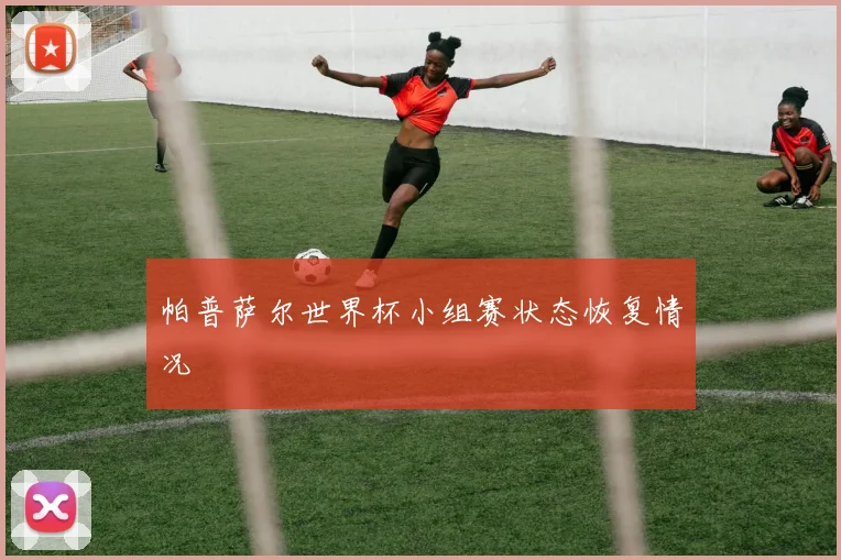 帕普萨尔世界杯小组赛状态恢复情况