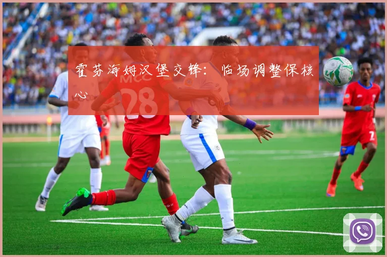 霍芬海姆汉堡交锋：临场调整保核心