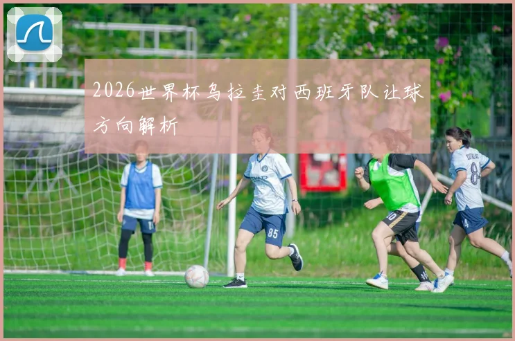 2026世界杯乌拉圭对西班牙队让球方向解析