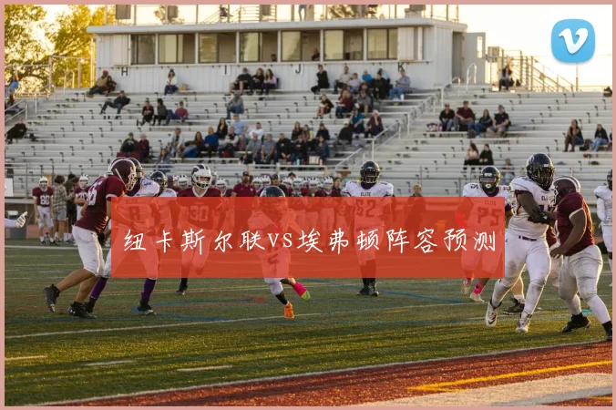 纽卡斯尔联vs埃弗顿阵容预测
