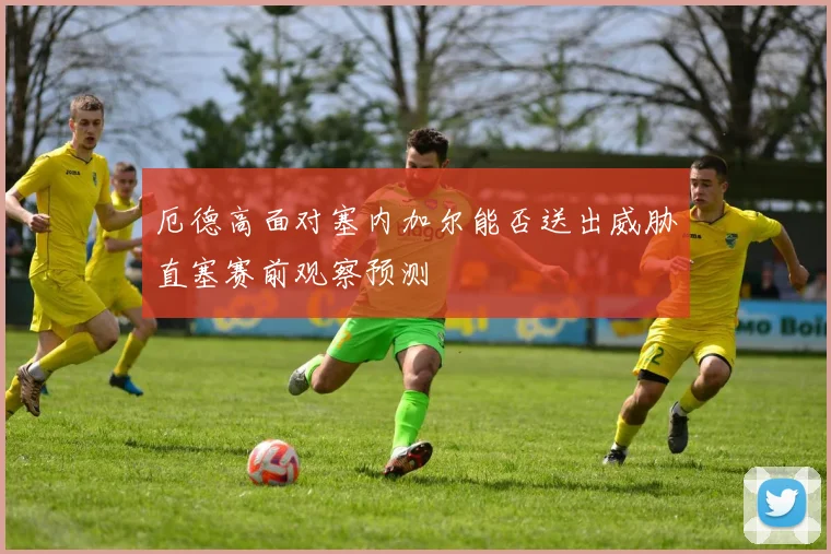 厄德高面对塞内加尔能否送出威胁直塞赛前观察预测